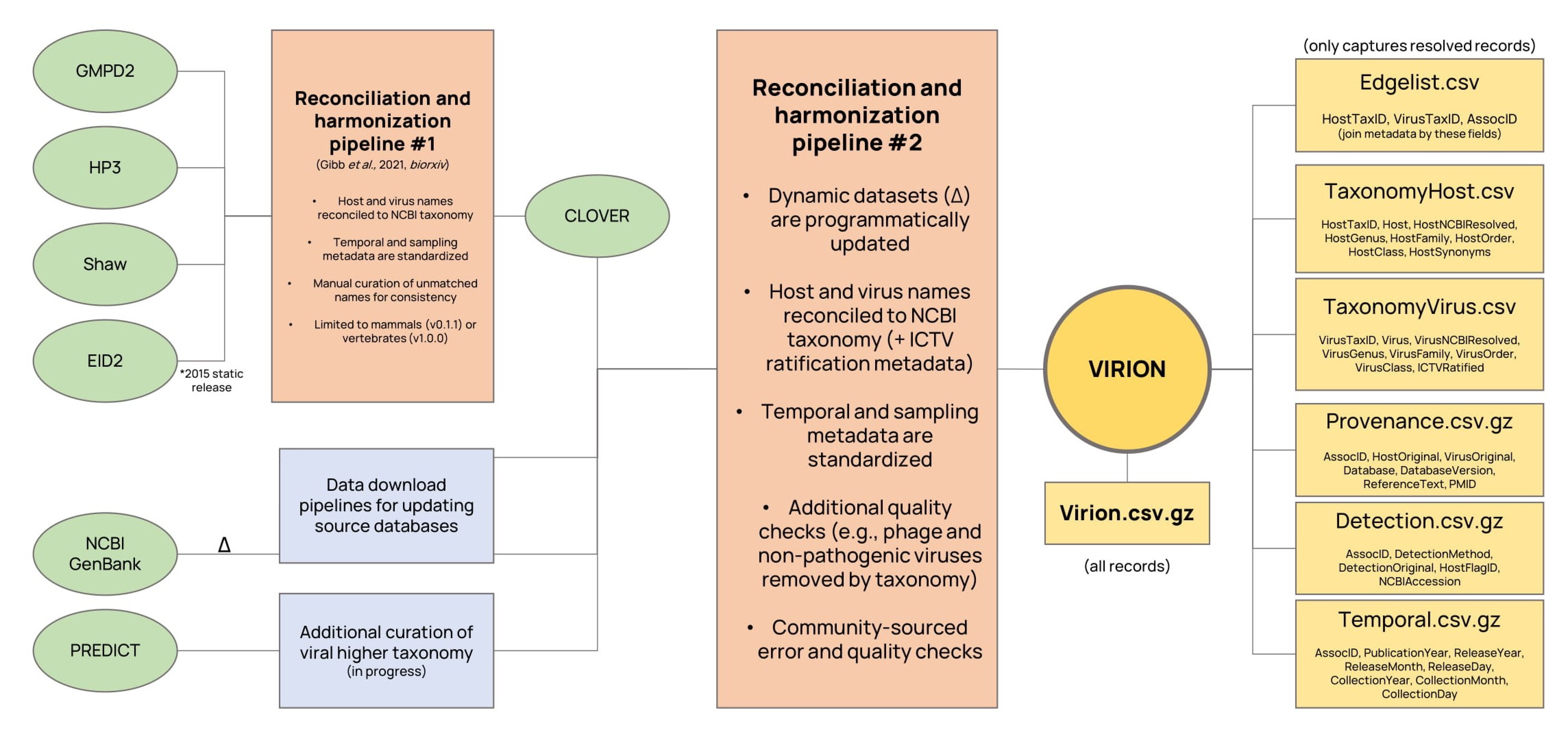 Virion overview